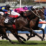 Melbourne,-,March,13:,Horses,Race,To,The,Finish,Of