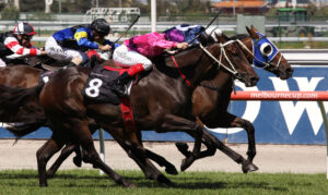 Melbourne,-,March,13:,Horses,Race,To,The,Finish,Of