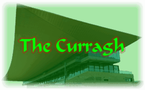curragh