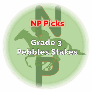 pebblesStakes